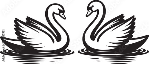 Elegant Swan in Black & White – Minimalist Monochrome Bird Photography