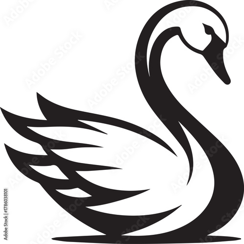 Elegant Swan in Black & White – Minimalist Monochrome Bird Photography