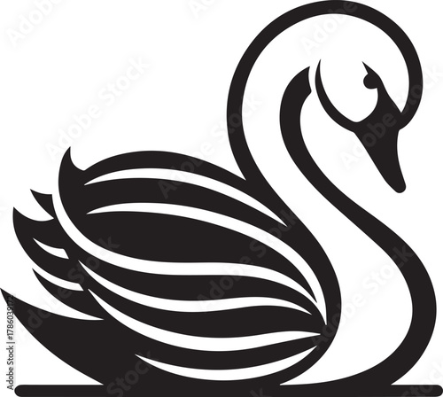 Elegant Swan in Black & White – Minimalist Monochrome Bird Photography