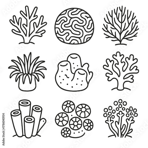 Coral Reef Icons. Line style icons of Coral Reef Elements: staghorn coral, brain coral, sea fan, sea anemone, sponge, soft coral,