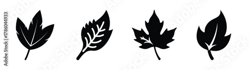 Black leaves vector set illustration, leaf silhouette drawing, nature foliage botanical art, design element