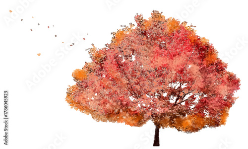 水彩風手描きの紅葉（カエデ）の木イラスト素材