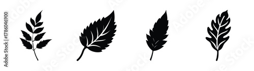 Vector illustration of various leaf shapes for botanical design elements and nature inspired artwork