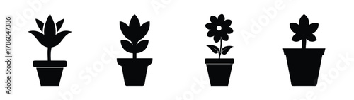 Black and white potted plants vector art illustration simple minimalist design home decor graphics drawing