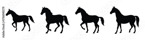 Horse silhouette vector art featuring equestrian animals in black and white for design projects