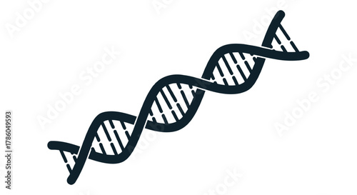 Stylized dark blue dna double helix structure icon isolated on a clean white background representing genetics and science