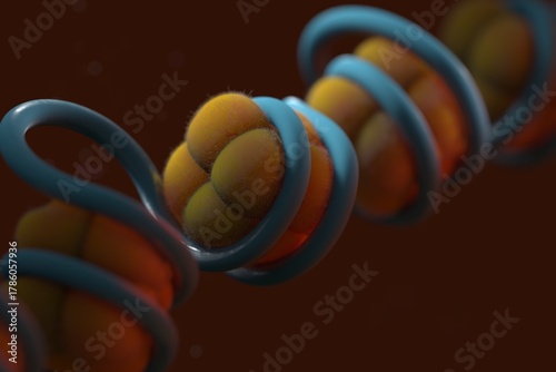 Nucleosomes made of DNA wrapped around clusters of histones, illustration