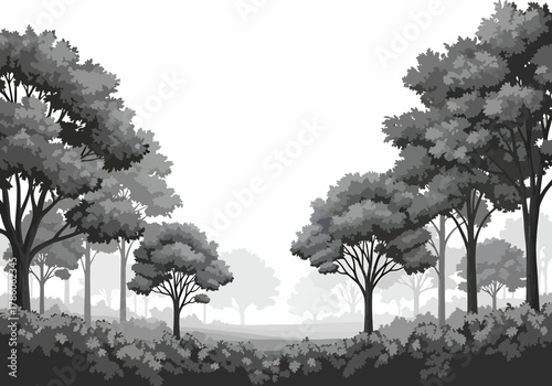 Black and white forest scene with dense trees and lush undergrowth, creating a serene natural landscape with detailed foliage and a misty background.