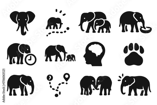 Elephant Memory Icons. Solid style icons of memory in elephants: elephant head, timeline memory path, herd gathering, watering