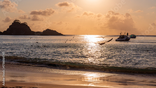 Seagulls and speedboat on the shore in Fernando de Noronha during a sunset