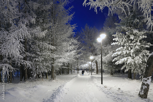A woman walks along a park alley on a winter evening