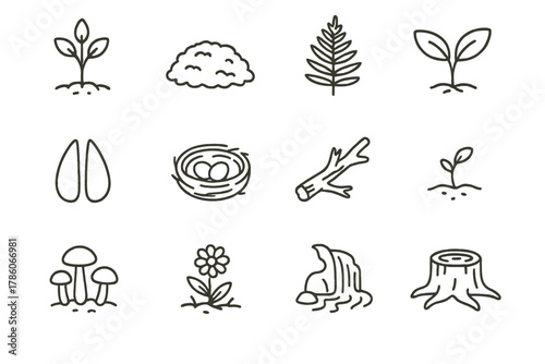 Icons of Natural Regeneration. Line style icons of natural regeneration: young tree, moss, fern, sapling; deer track, bird nest,