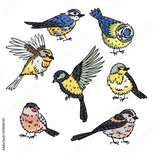 trendy collection of hand-drawn color illustrations of vibrant wild birds with black outlines. Detailed illustrations of tits, small songbirds, perfect for nature-themed designs, prints, textiles.