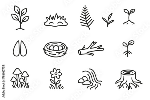 Icons of Natural Regeneration. Line style icons of natural regeneration: young tree, moss, fern, sapling; deer track, bird nest,