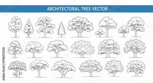 Collection of Architectural Tree Vector Illustrations Various Styles and Species for Landscape Design and Artistic Projects