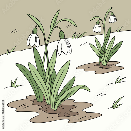 Snowdrop flowers in a snowy landscape with bare trees in winter season