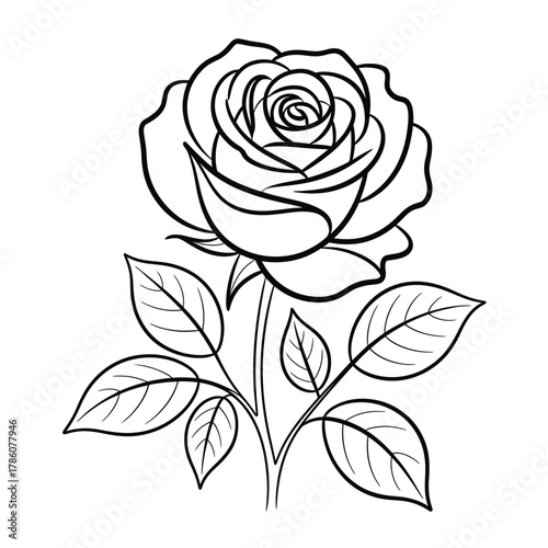 Black and white line drawing of a single rose with leaves