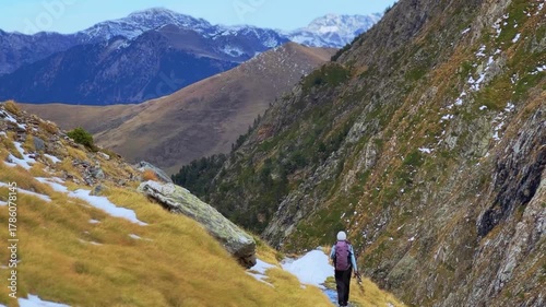 Autumn Colors and Snow Peaks.
Hiker walking through golden trees with snowy Pyrenean mountains in distance.
