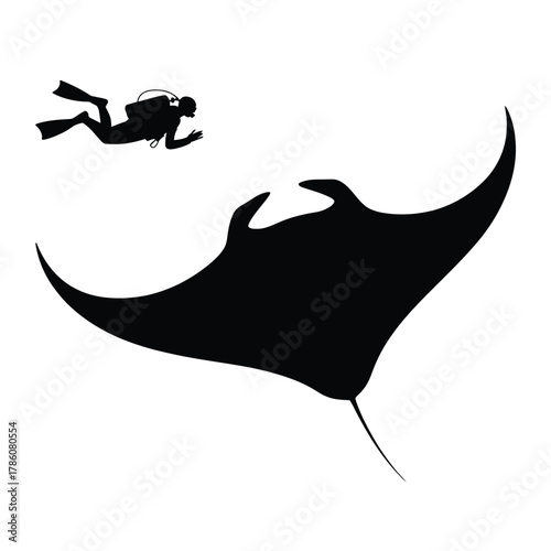 Silhouette of a diver swimming near a large manta ray