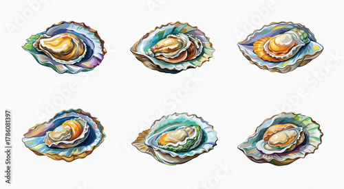 Vibrant Oyster Illustration Collection with Unique Shell and Pearl Coloration Style