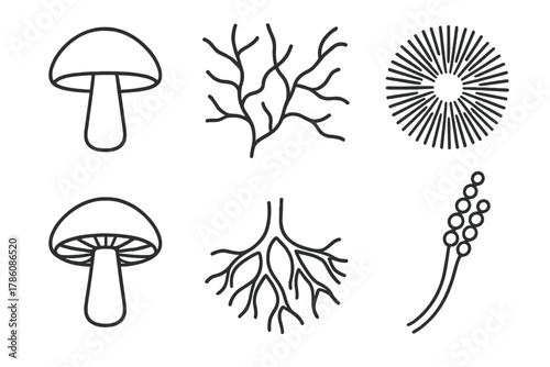 Fungal Structure Icons. Line style icons of common fungal structures: mushroom cap, hyphae network, spore print, gills under cap,