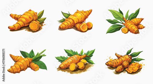 Vibrant Turmeric Roots with Green Leaves, an Illustration of Culinary Spice