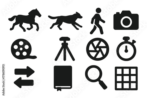 Motion Study Icons. Solid style icons of zoopraxography and motion studies: horse, running dog, walking human, camera, film reel,