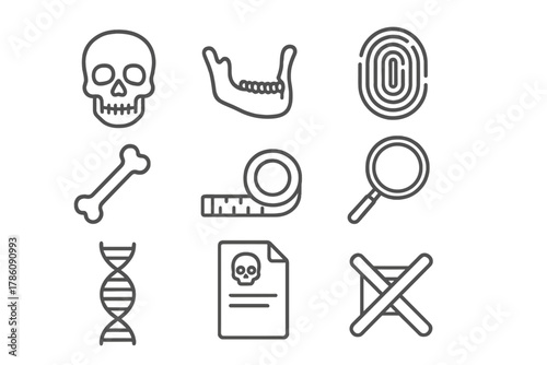Forensic Anthropology Icons. Line style icons of Forensic Anthropology: Skull, Jaw, Fingerprint, Bone, Tape Measure, Magnifying
