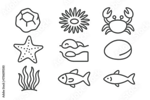 Rocky Tide Pool Icons. Line style icons of Rocky Tide Pool: Barnacle, Anemone, Crab, Starfish, Retreating Tide, Pebble, Seaweed,