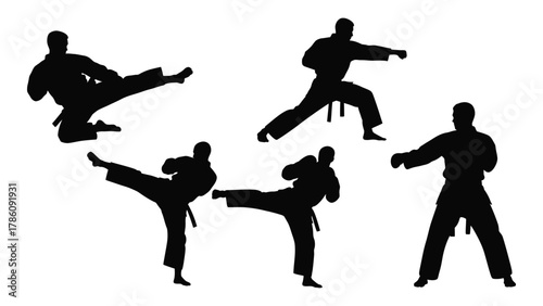 Martial arts training silhouettes isolated on white background, Vector