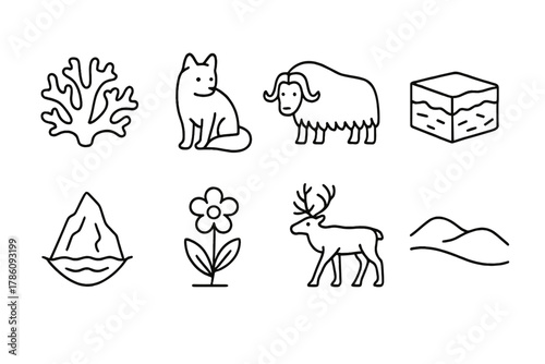 Tundra Wildlife Icons. Line style icons of Tundra: Lichen, Arctic Fox, Musk Ox, Permafrost, Iceberg, Tundra Flower, Caribou,