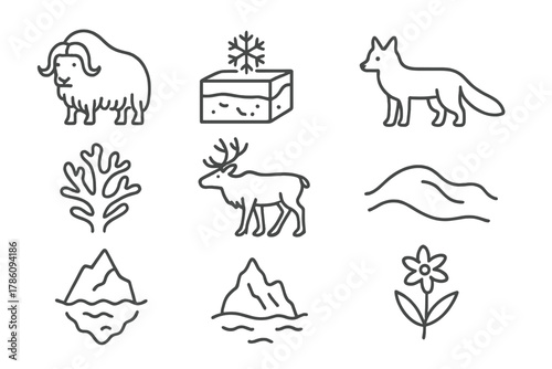 Tundra Line Art Icons. Line style icons of Tundra: Musk Ox, Permafrost, Arctic Fox, Lichen, Caribou, Snowdrift, Iceberg, Tundra