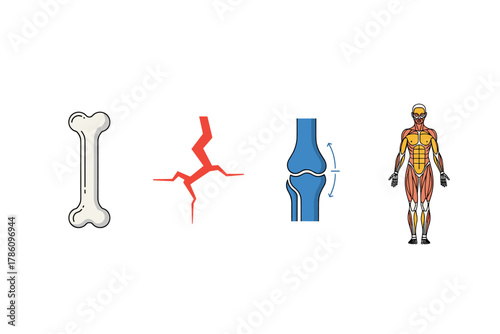 Human anatomy and physiology icon set for medical education and health illustration