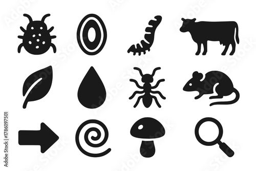Parasite Lifecycle Icons. Solid style icons of parasite life cycles and ecology: parasite, egg, larva, adult host, leaf, water