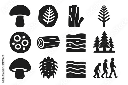 Ancient Fungi Icons. Solid style icons of Ancient fungi: giant fungus, fossil imprint, petrified wood, prehistoric fern, spore