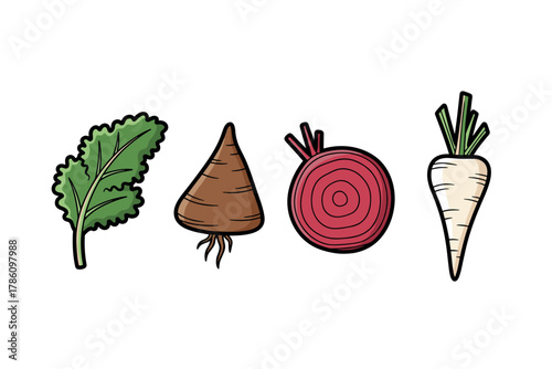 Root and leaf vegetables for healthy eating and organic gardening