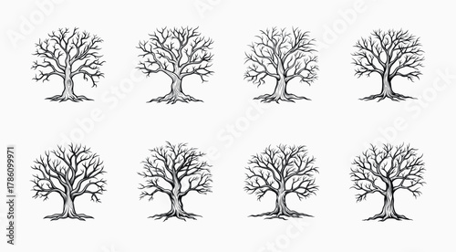 Illustration of eight deciduous trees with no leaves on a white background