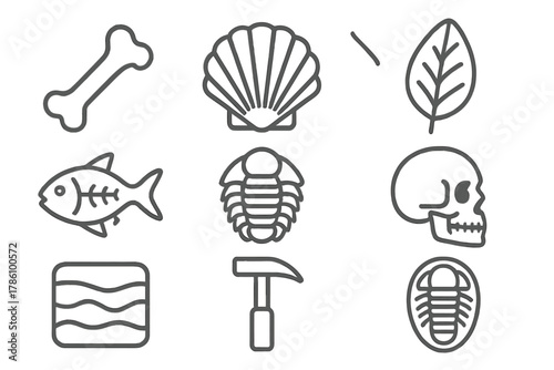 Fossil Icon Collection. Line style icons of Fossils: Dinosaur Bone, Shell, Leaf Imprint, Fish Fossil, Trilobite, Skull, Rock Layer
