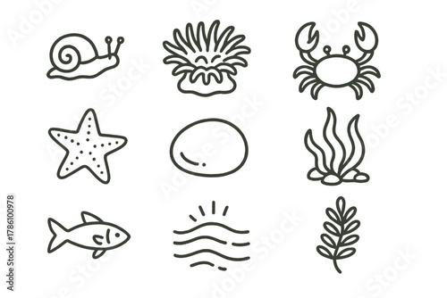 Tide Pool Icons. Line style icons of Micro Tide Pool: Tiny Snail, Anemone, Crab, Starfish, Pebble, Seaweed, Small Fish, Retreating