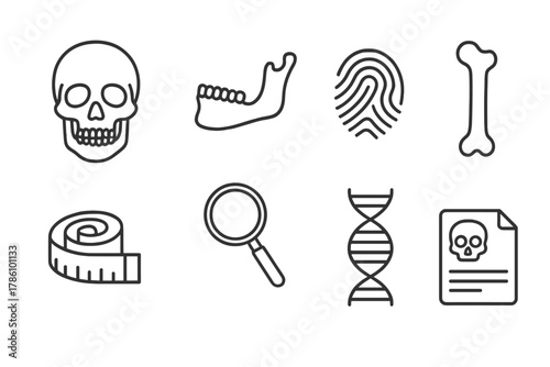Forensic Anthropology Icons. Line style icons of Forensic Anthropology: Skull, Jaw, Fingerprint, Bone, Tape Measure, Magnifying