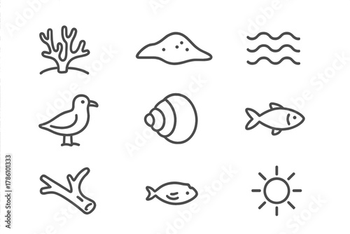 Coral Sandbar Icons. Line style icons of Coral Sandbar: Coral Patch, Exposed Land, Tide, Seabird, Shell, Small Fish, Driftwood,