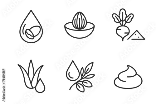 Sustainable Makeup Icons. Line style icons of sustainable makeup ingredients: shea butter droplet, cocoa pigment icon, beetroot