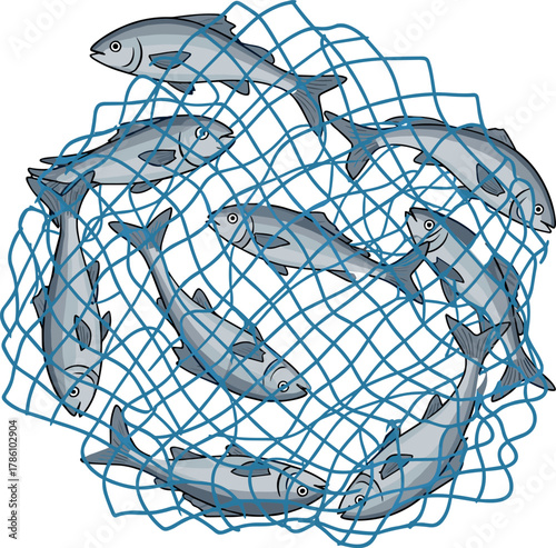 School of Fish Caught in Blue Fishing Net Illustration