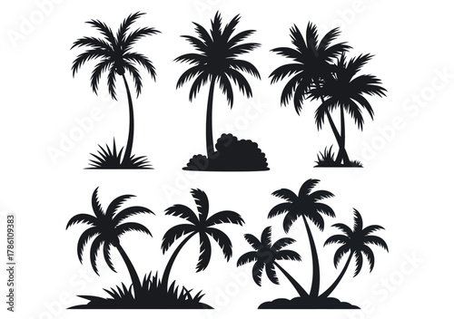 Palm Tree Silhouette. Beach Trees and Tropical Island Elements for Design