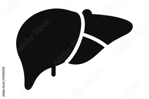 Human liver anatomy with veins showing in a black and white color medical anatomical structure