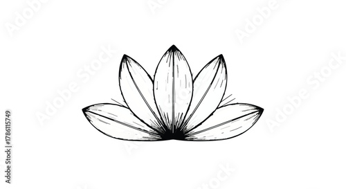 Elegant hand-drawn lotus flower illustration symbolizing peace and purity