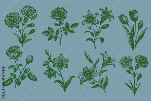 Rose, Carnation, Tulip, Lily, Orchid halftone collage elements set. grunge collage posters, surreal 90s aesthetic, psychedelic tattoo art, halftone grainy texture, floral punk design, gothic. Vector.