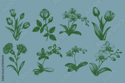 Rose, Carnation, Tulip, Lily, Orchid halftone collage elements set. grunge collage posters, surreal 90s aesthetic, psychedelic tattoo art, halftone grainy texture, floral punk design, gothic. Vector.