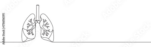 Continuous one line drawing of human lungs. Concept of respiratory system, health and anatomy