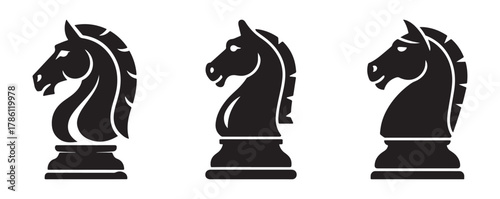 black and white chess pieces